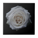 Suche nach einzeln fliesen Rosa