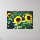 Suche nach trio leinwandbilder Blumen