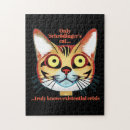 Suche nach feline puzzle Kätzchen