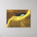 Suche nach falsch leinwandbilder Bildgebung