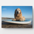 Suche nach surfbrett fotoplatten Strand
