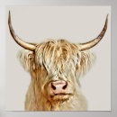 Suche nach albino poster Niedlich