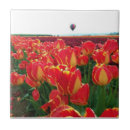 Suche nach heißluftballon fliesen Feld