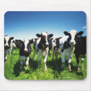 Suche nach vorderansicht mousepads Tier