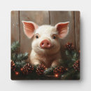 Suche nach schweine fotoplatten Ferkel