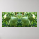 Suche nach tomaten poster Bauernhof