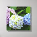 Suche nach hydrangeas leinwandbilder Lila
