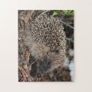 Suche nach igel puzzle Tier