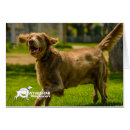 Suche nach flaumige postkarten Jede person