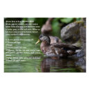 Suche nach duck poster Jede person