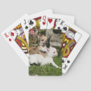 Suche nach chihuahua spielkarten White