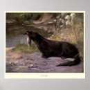 Suche nach otter poster Jede person