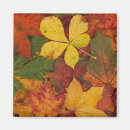 Suche nach herbst blätter magnete Bunt