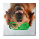 Suche nach gläser fliesen Niedlich