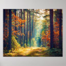 Suche nach heller wald poster Farbe