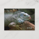 Suche nach iguana visitenkarten Tier