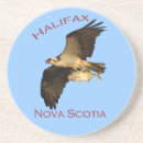 Suche nach umwelt untersetzer Erhaltung