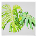 Suche nach monstera poster Botanisch