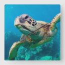 Suche nach reef wanduhren Beach