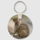 Suche nach marmot schlüsselanhänger Nagetier