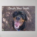 Suche nach teeth poster Welpe