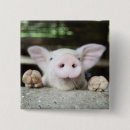 Suche nach schwein buttons Baby