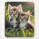 Suche nach das gras mousepads Katzen