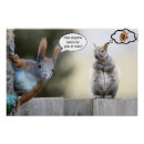 Suche nach nüsse poster Eichhörnchen