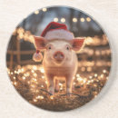 Suche nach schweinefleisch untersetzer Ferkel