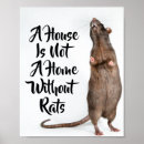 Suche nach extravagante ratte Haustiere