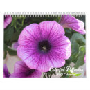 Suche nach pflanzen kalender Natur