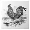 Suche nach dachziegel fliesen Hahn