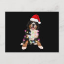 Suche nach hundewelpen postkarten Berner hund