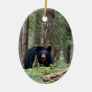 Suche nach bären ornamente Wildtiere
