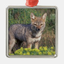 Suche nach südamerika ornamente Chile