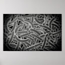 Suche nach bakterien poster Mikroorganismus