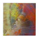 Suche nach versteinert fliesen Arizona