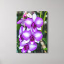 Suche nach weiße orchideen leinwandbilder Lila