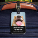 Suche nach corgi gepäckanhänger Welpe