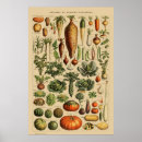 Suche nach französische botanische poster Vintag