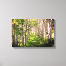 Suche nach aspen leinwandbilder Wald