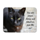 Suche nach quote magnete Black