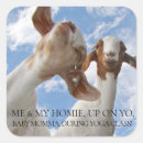 Suche nach goats aufkleber Jede person