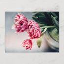 Suche nach blumenstrauß postkarten Mit blumen