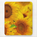 Suche nach garten mit sonnenblumen mousepads Pflanze