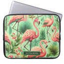 Suche nach flamingos Natur
