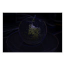 Suche nach dunkel lila poster Blau