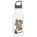 Suche nach throated kolibri Vogel