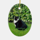 Suche nach schwarze miezekatze ornamente Schwarzes