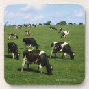 Suche nach weide untersetzer Bauernhof